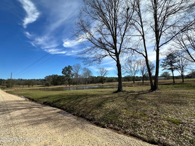 Land for sale in Poplarville, Mississippi