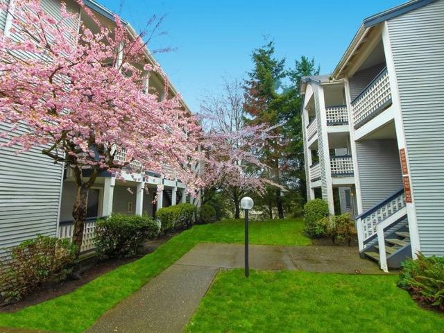 Apartment for rent in Burien, Washington