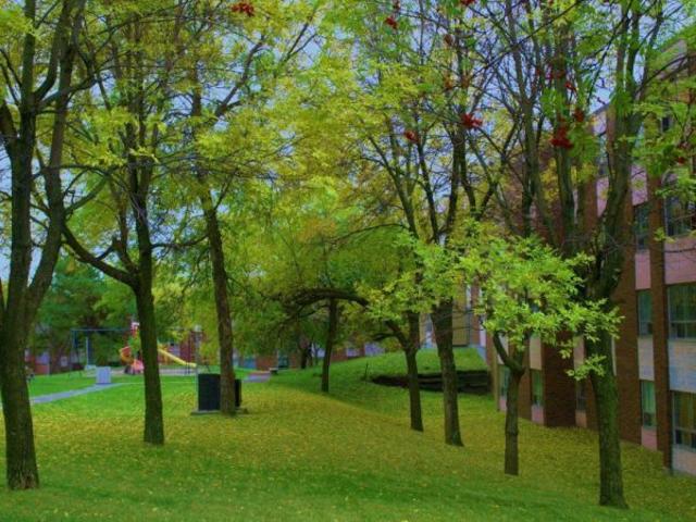 Apartment for rent in Wanup, Ontario