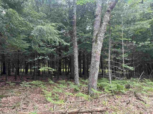 Land for sale in Cross Village, Michigan