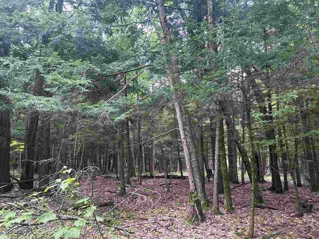 Land for sale in Cross Village, Michigan