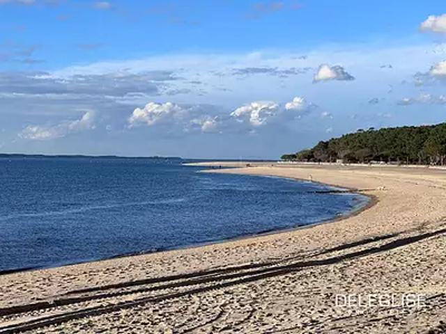 Terrain vente à Arcachon