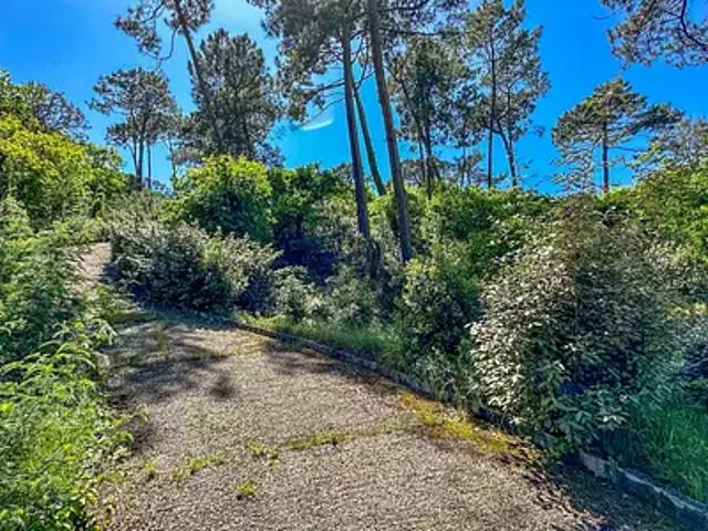 Terrain vente à Arcachon
