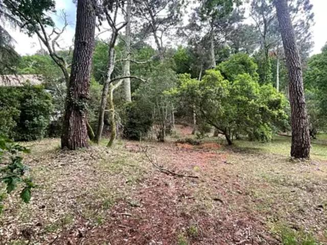 Terrain vente à Arcachon