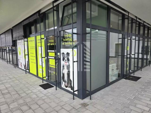 Immobilie mieten in Prilly, Waadt