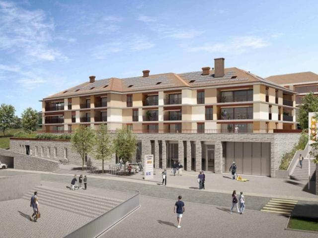 Wohnung mieten in Vevey, District de la Riviera-Pays-d’Enhaut