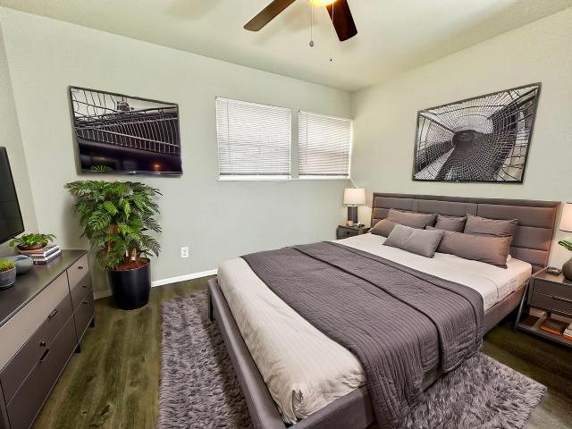 Apartment for rent in Colorado Springs, Colorado