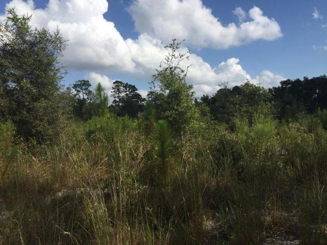 Land for sale in Archer, Florida
