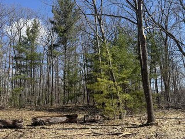 Land for sale in Townsend, Wisconsin