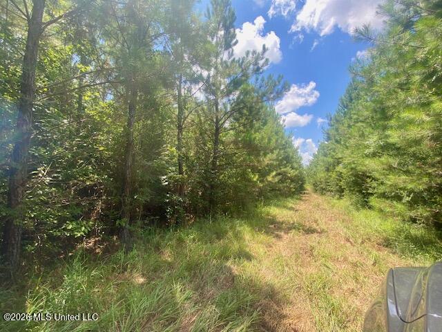 Land for sale in Mississippi