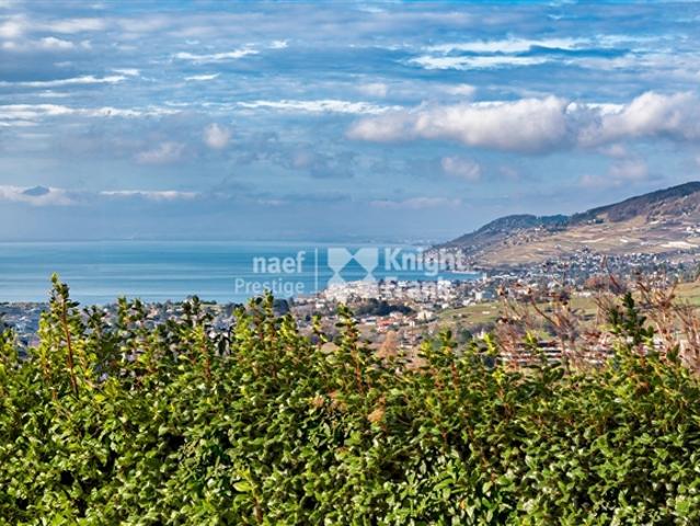 Einfamilienhaus kaufen in Chailly-Montreux, Waadt