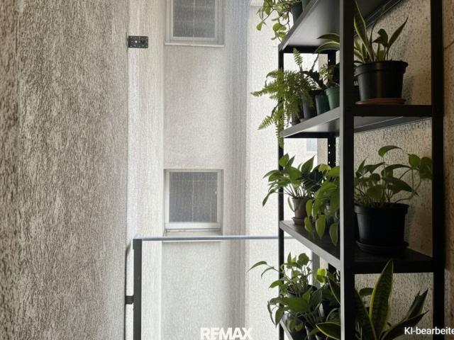 Haus kaufen in Donaustadt, Wien