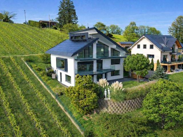 Einfamilienhaus kaufen in Clarmont, Waadt