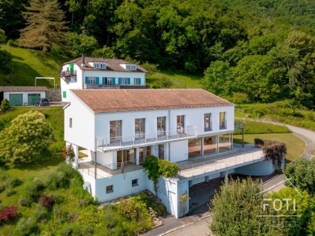 Einfamilienhaus kaufen in Saint-Gingolph, Monthey