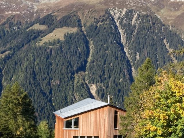 Einfamilienhaus kaufen in Bellwald, Wallis