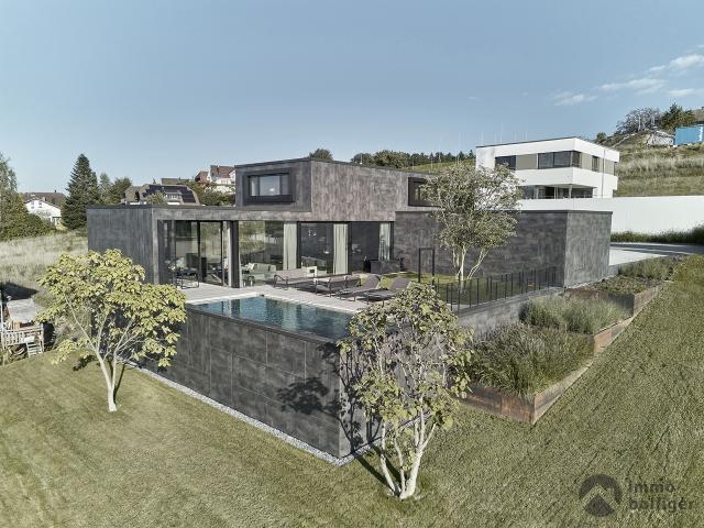 Reihenfamilienhaus kaufen in Murgenthal, Aargau