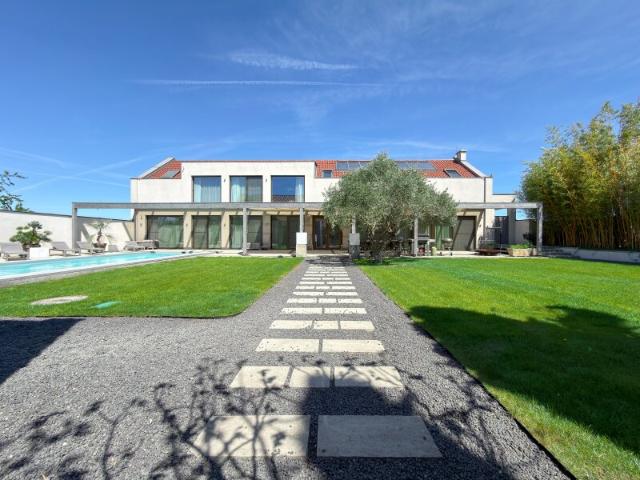Einfamilienhaus kaufen in Podersdorf am See, Burgenland