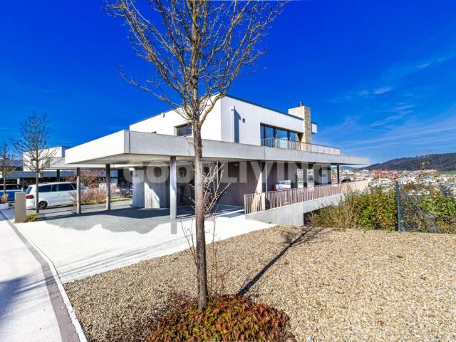 Einfamilienhaus kaufen in Lü
