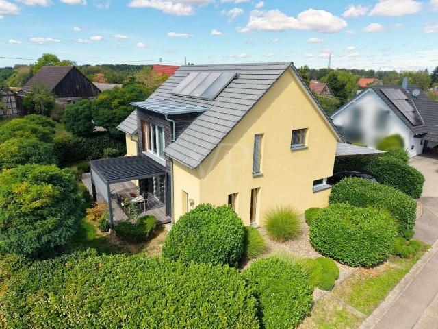 Haus kaufen in Waldenburg, Zwickau