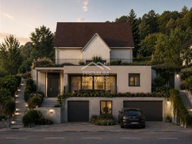 Einfamilienhaus kaufen in Uhwiesen, Zürich