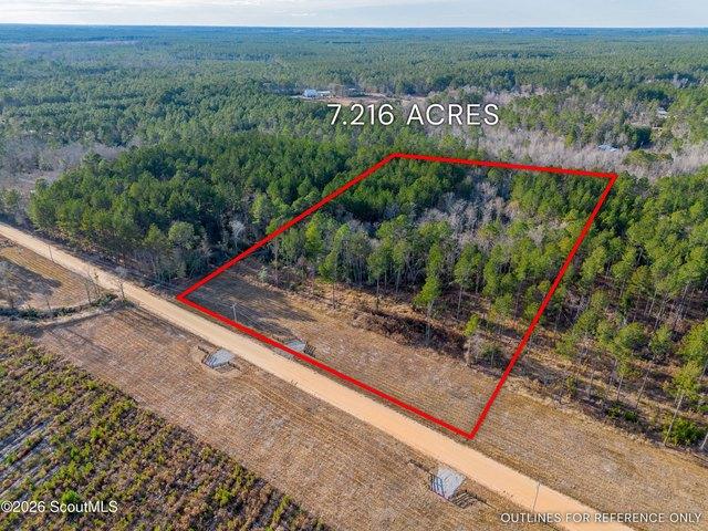 Farm for sale in Brooklet, Georgia