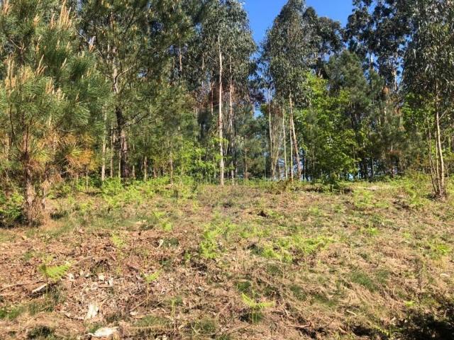 Terreno venda em Arcos De Valdevez, Viana Do Castelo
