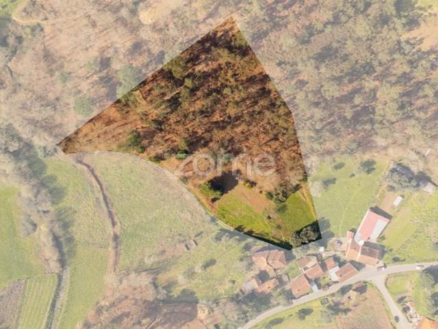 Terreno venda em Arcos De Valdevez, Viana Do Castelo
