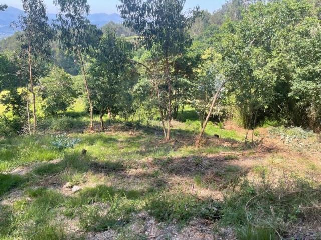 Terreno venda em Arcos De Valdevez, Viana Do Castelo