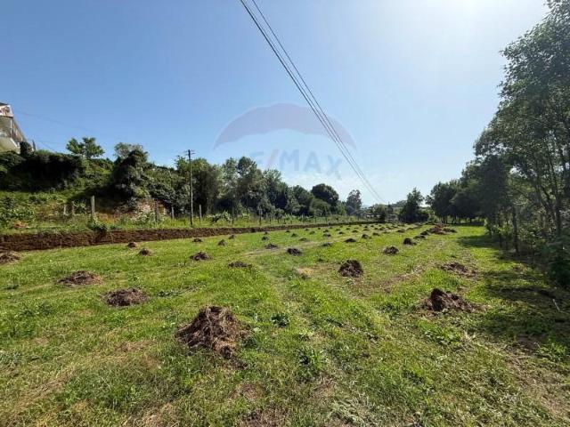Terreno venda em Arcos De Valdevez, Viana Do Castelo