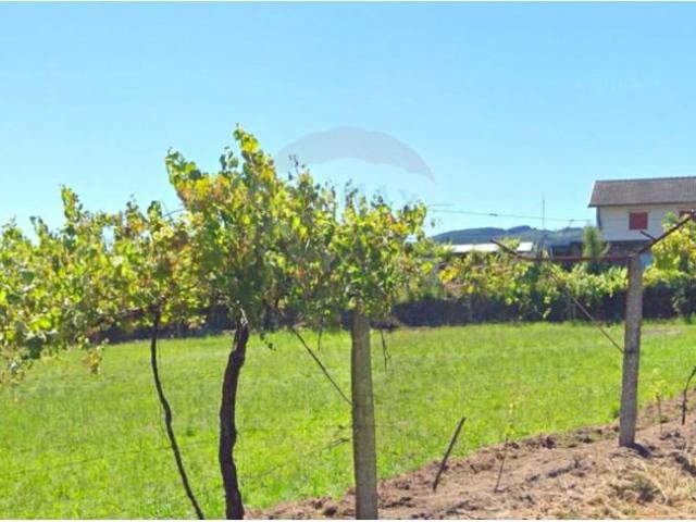Terreno venda em Arcos De Valdevez, Viana Do Castelo