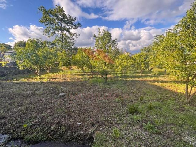 Terreno venda em Arcos De Valdevez, Viana Do Castelo