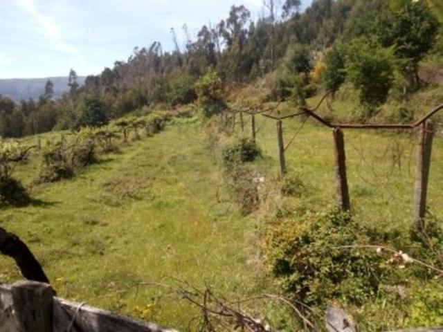 Terreno venda em Arcos De Valdevez, Viana Do Castelo