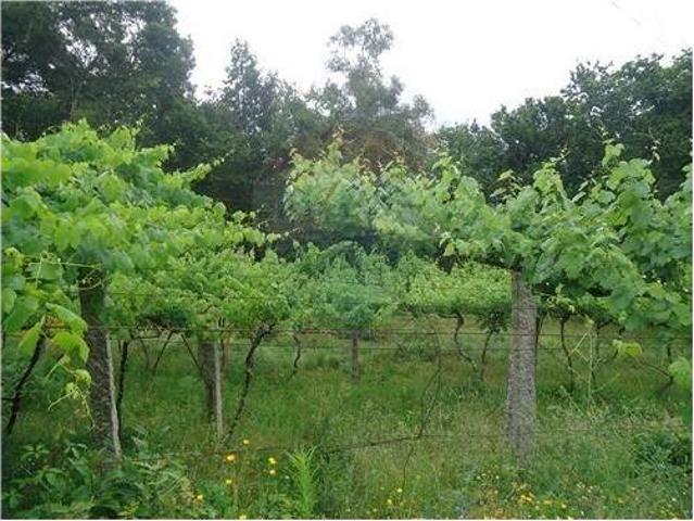 Terreno venda em Arcos De Valdevez, Viana Do Castelo