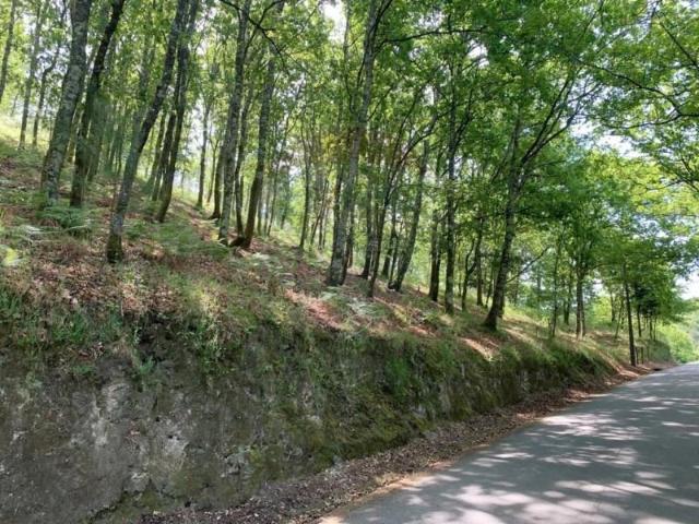 Terreno venda em Arcos De Valdevez, Viana Do Castelo