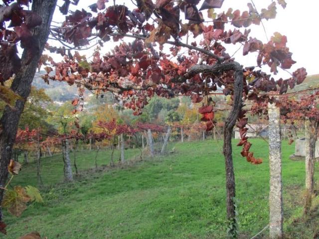 Terreno venda em Arcos De Valdevez, Viana Do Castelo