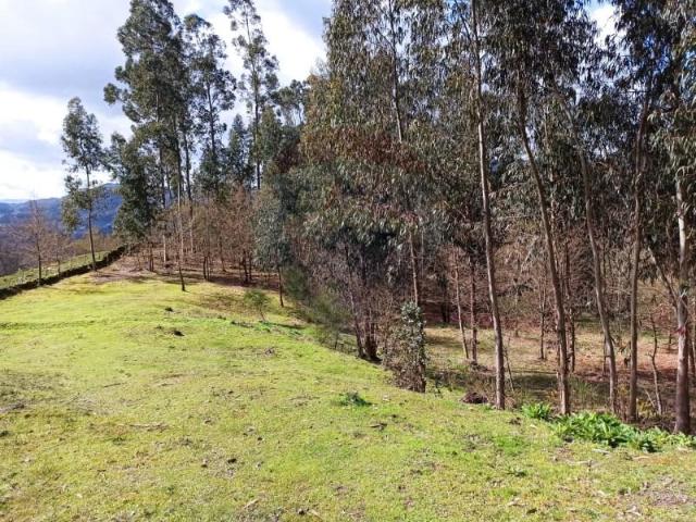 Terreno venda em Arcos De Valdevez, Viana Do Castelo