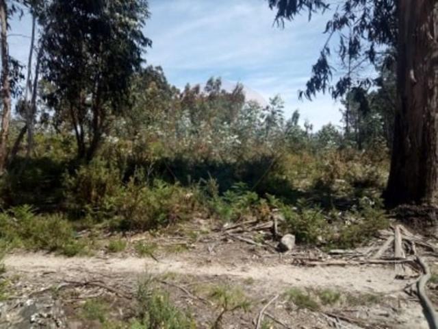 Terreno venda em Arcos De Valdevez, Viana Do Castelo