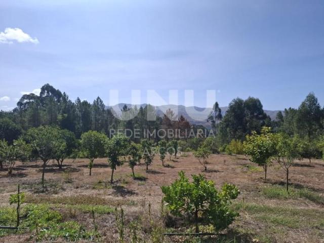 Terreno venda em Arcos De Valdevez, Viana Do Castelo
