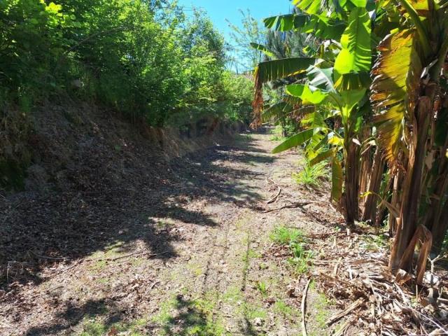 Terreno venda em Arcos De Valdevez, Viana Do Castelo