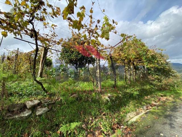 Terreno venda em Arcos De Valdevez, Viana Do Castelo