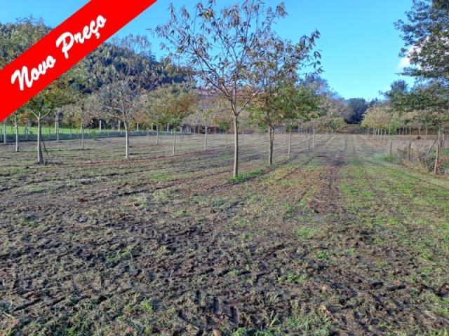 Terreno venda em Arcos De Valdevez, Viana Do Castelo