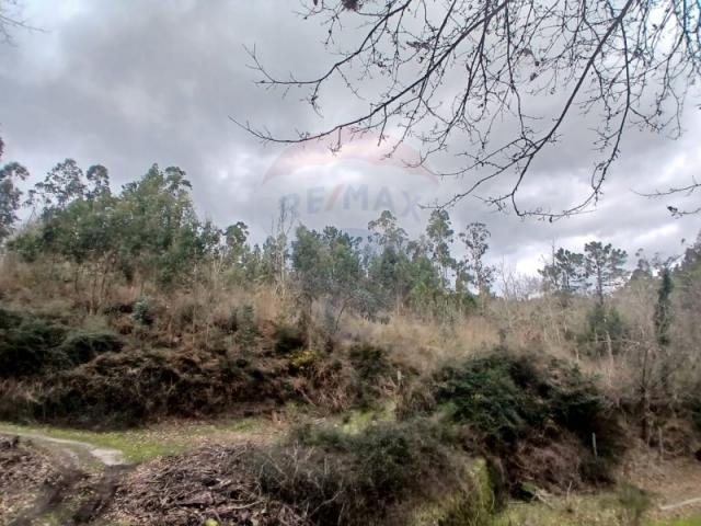 Terreno venda em Arcos De Valdevez, Viana Do Castelo