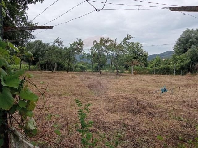 Terreno venda em Arcos De Valdevez, Viana Do Castelo