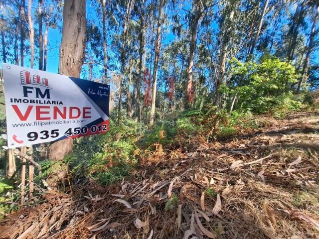 Terreno venda em Arcos De Valdevez, Viana Do Castelo