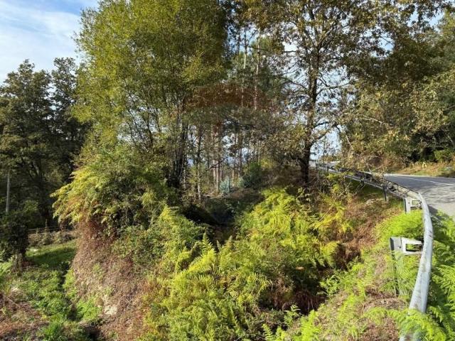 Terreno venda em Arcos De Valdevez, Viana Do Castelo