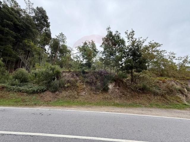 Terreno venda em Arcos De Valdevez, Viana Do Castelo