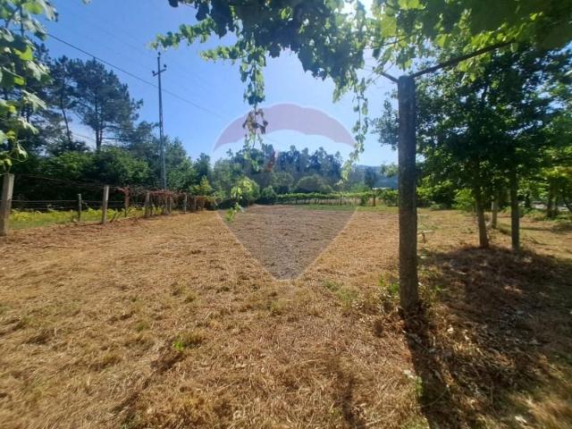 Terreno venda em Arcos De Valdevez, Viana Do Castelo