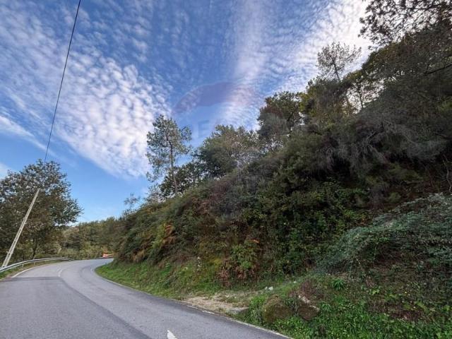 Terreno venda em Arcos De Valdevez, Viana Do Castelo