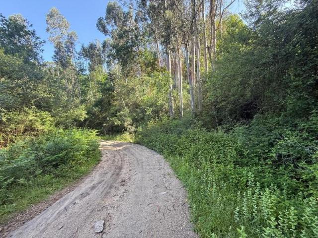 Terreno venda em Arcos De Valdevez, Viana Do Castelo