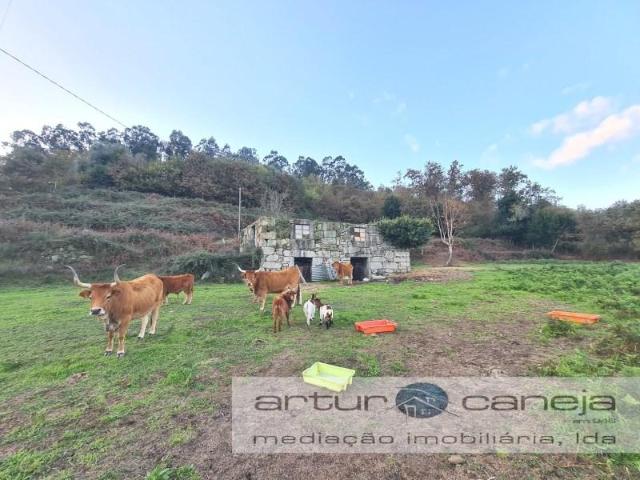 Terreno venda em Arcos De Valdevez, Viana Do Castelo